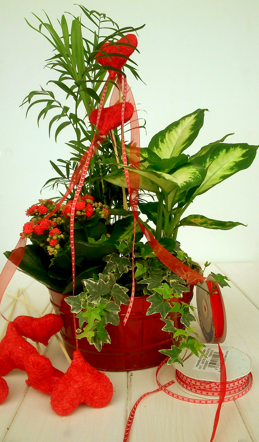 CESTA DE SAN VALENTíN