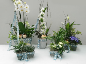 Colección Inspiración Azul