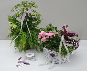 Colección Jardín Fresco