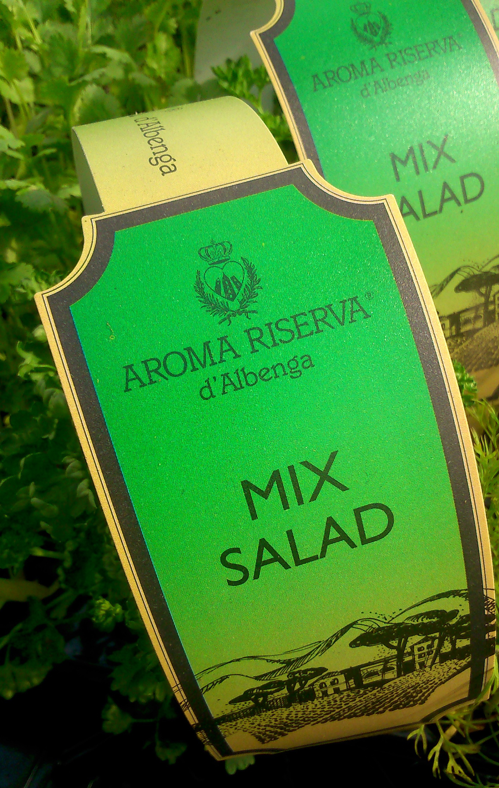  Plantas aromáticas  MIS SALAD